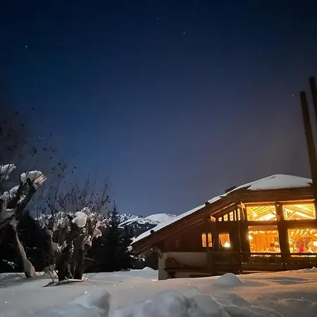 Chalet Javen - 520m2 Avec Piscine Chauffee Et Cinema *